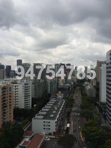 Jervois Jade (D10), Apartment #76028542